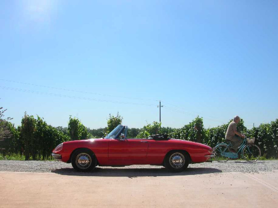 MEZZA GIORNATA SUL LAGO DI GARDA - PREMIUM