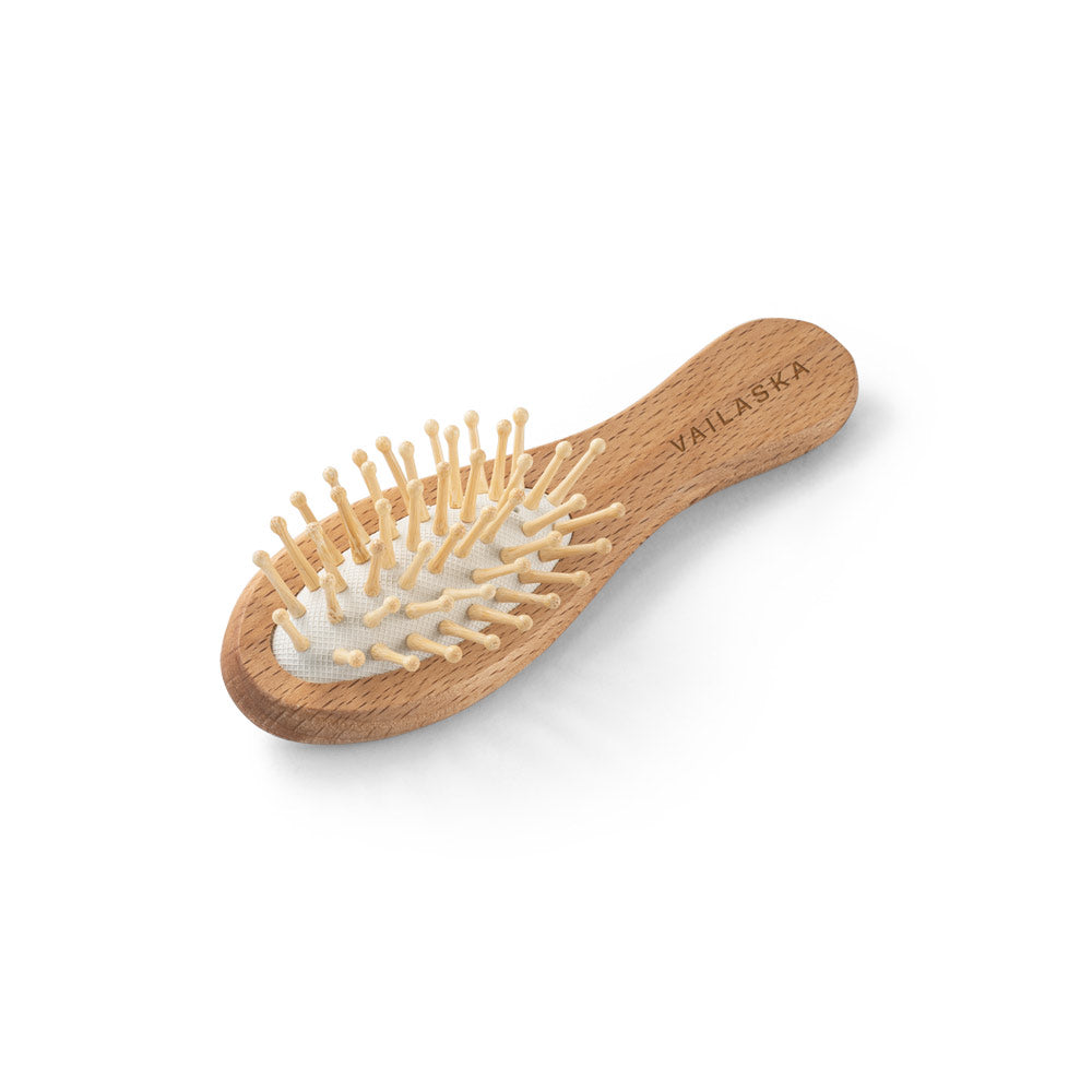 G95055 DERN. Spazzola