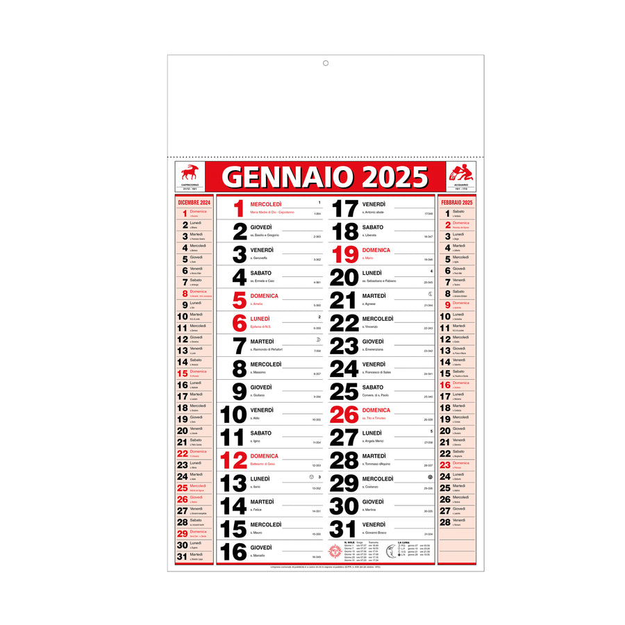 G25D061 Calendario 2025 da muro mensile, 12 fogli, su carta patinata, termosaldato