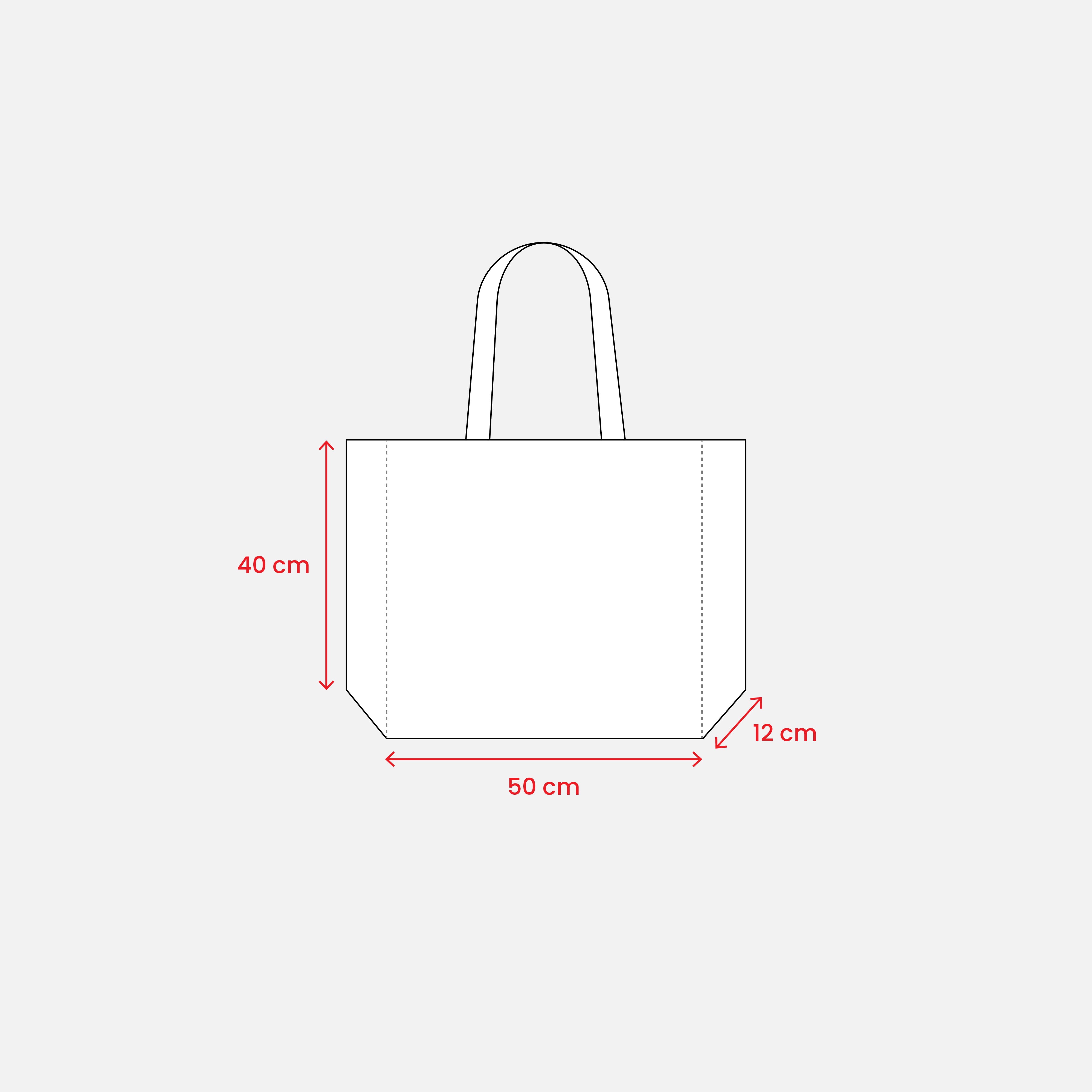 G19148 Shopper con soffietto in TNT cucito, manici lunghi