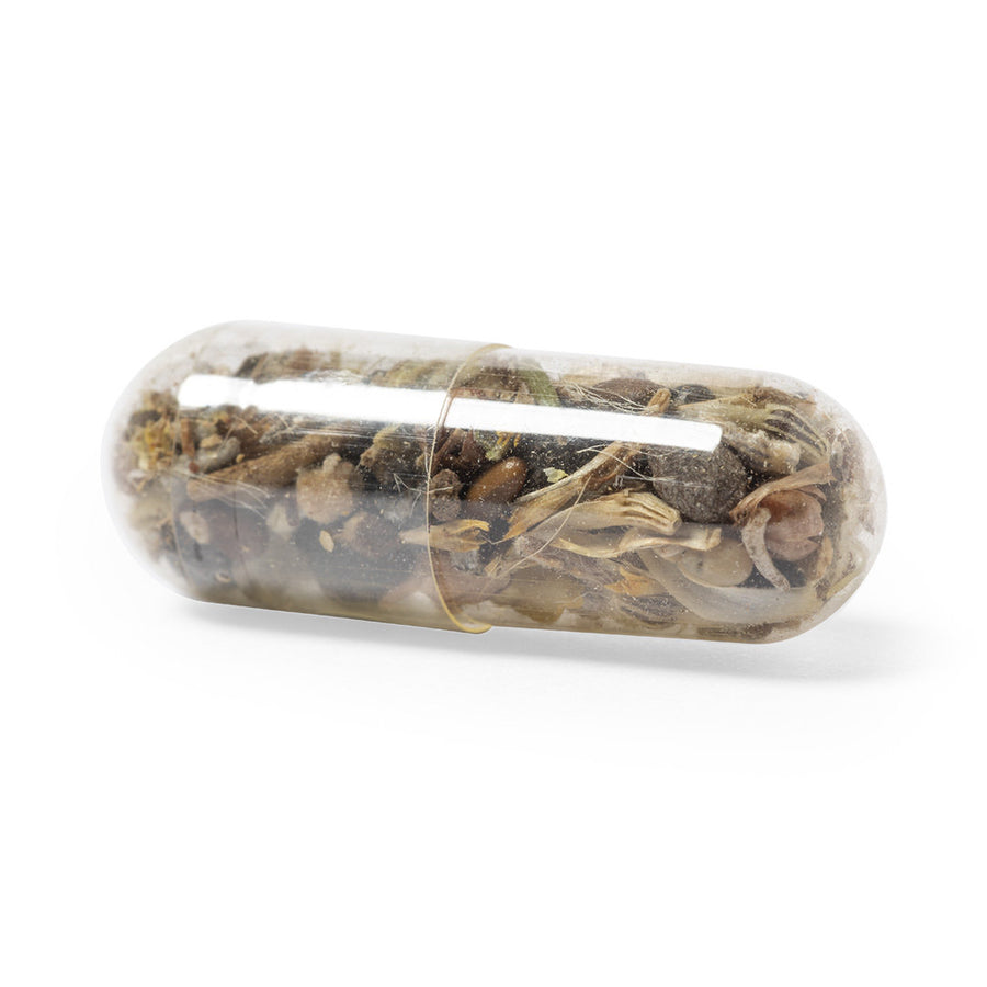 G2642 Capsule di Semi Biyok