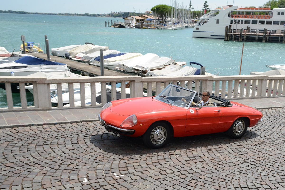 MEZZA GIORNATA SUL LAGO DI GARDA - MEDIUM