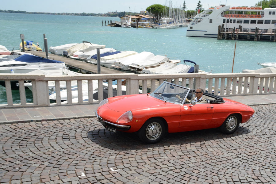 MEZZA GIORNATA SUL LAGO DI GARDA - MEDIUM