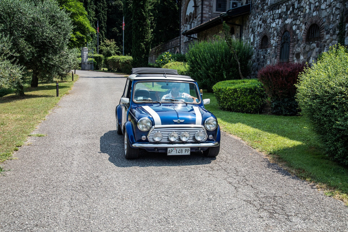 MEZZA GIORNATA SUL LAGO DI GARDA - ENTRY
