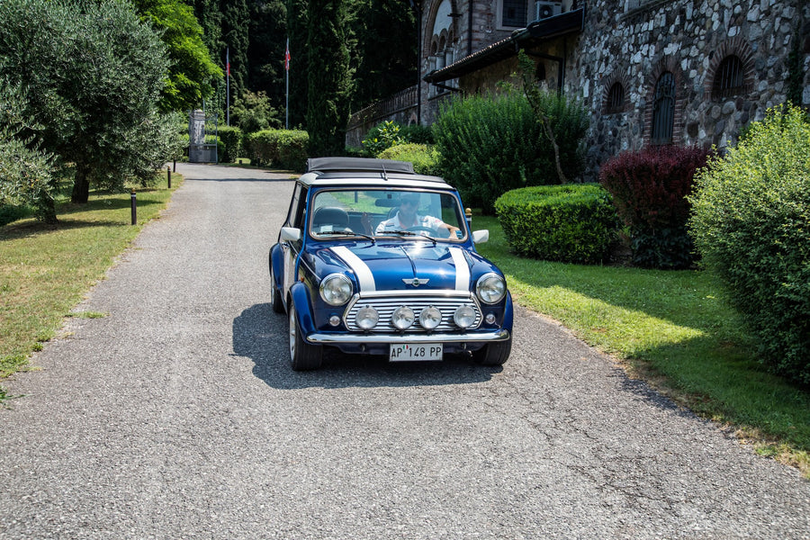 MEZZA GIORNATA SUL LAGO DI GARDA - ENTRY