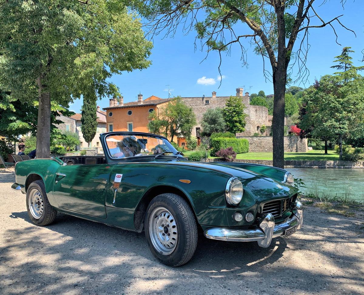 MEZZA GIORNATA SUL LAGO DI GARDA - MEDIUM