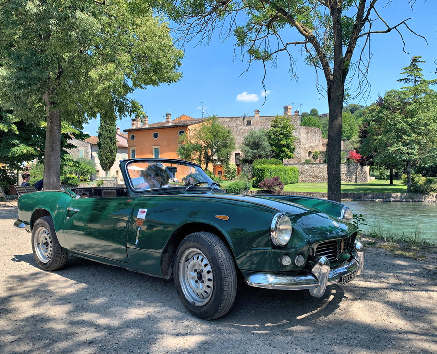 MEZZA GIORNATA SUL LAGO DI GARDA - MEDIUM
