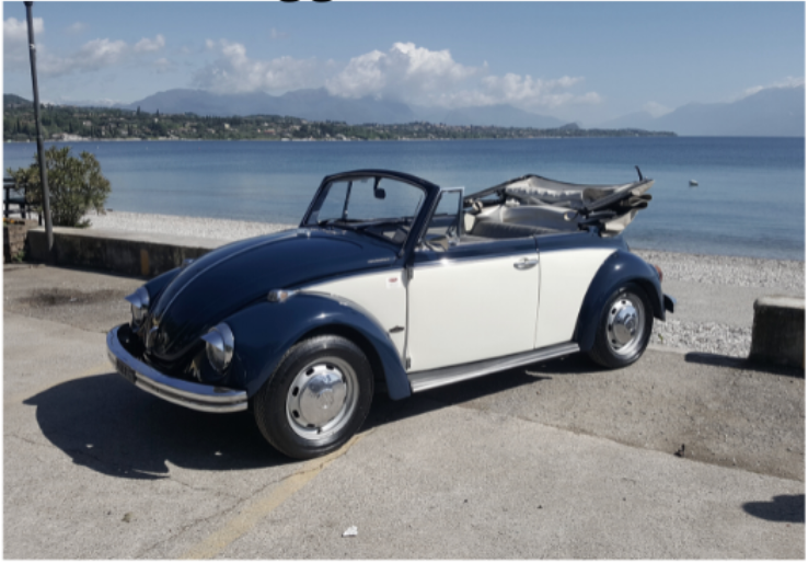 MEZZA GIORNATA SUL LAGO DI GARDA - MEDIUM
