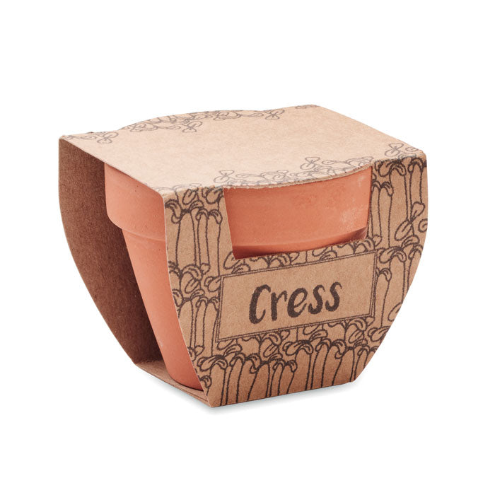 GO2219 Semi di crescione in vaso