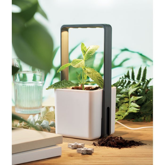 GO2702 Giardino interno con luce LED