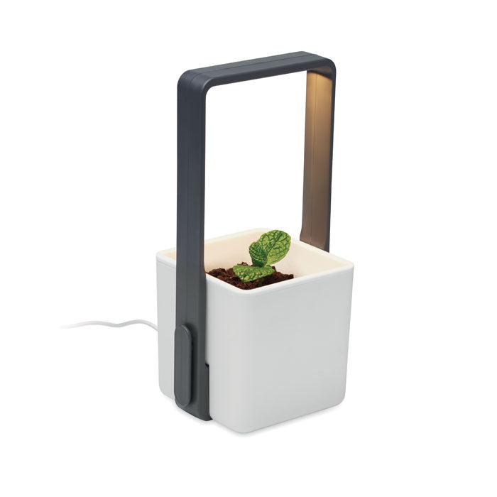 GO2702 Giardino interno con luce LED
