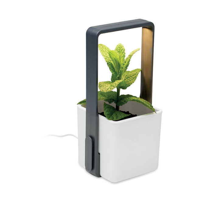 GO2702 Giardino interno con luce LED