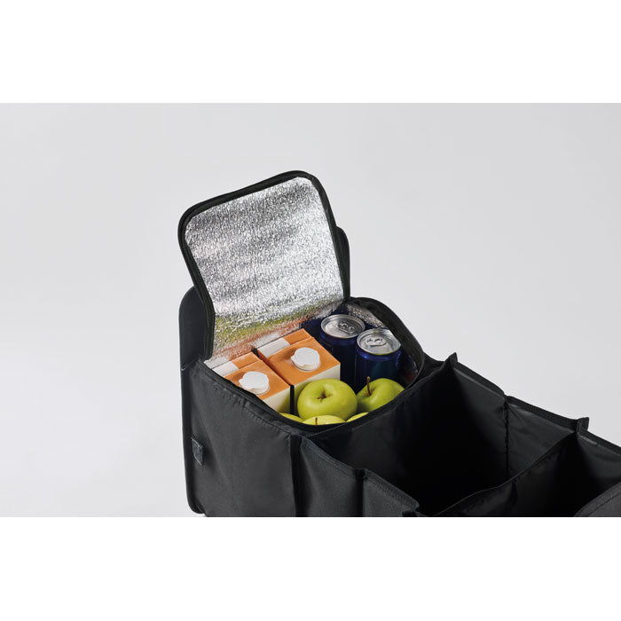 GO2956 Organizer per auto pieghevole