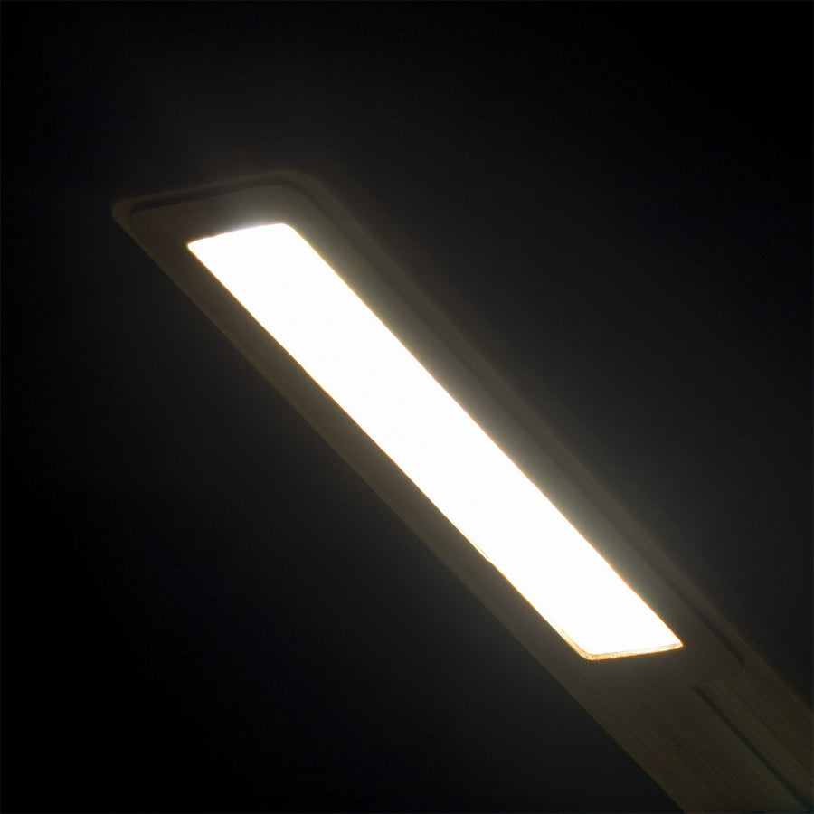 G1145 Lampada Caricatore Sleya