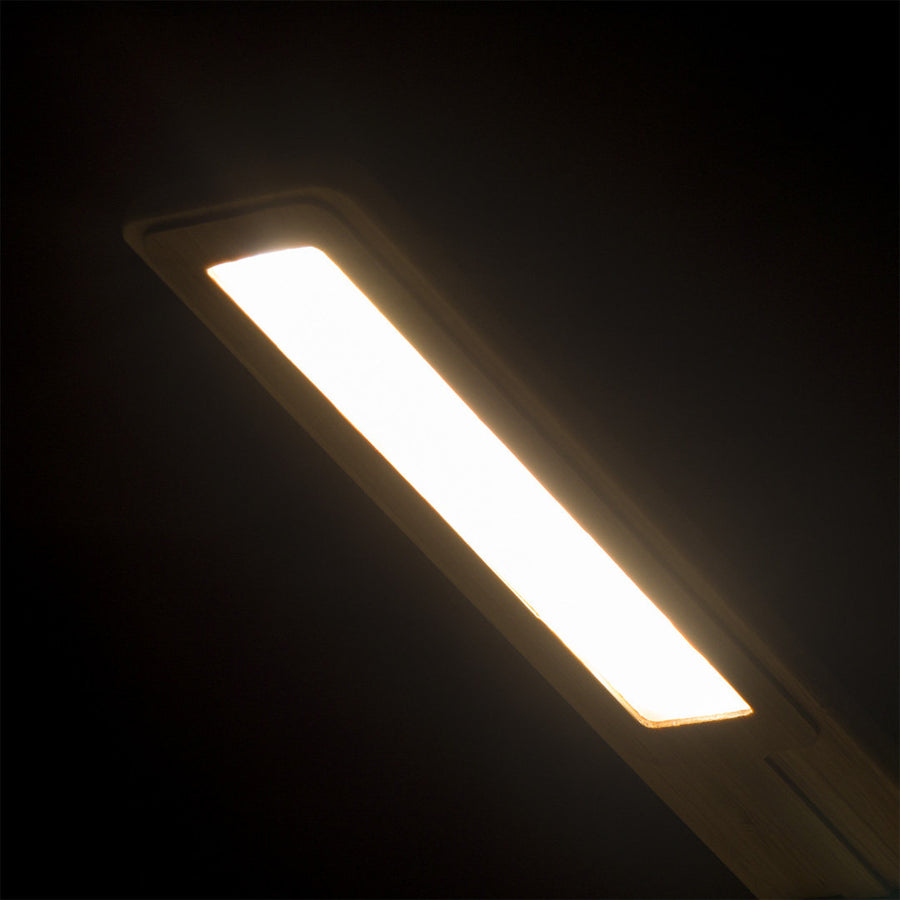 G1145 Lampada Caricatore Sleya
