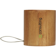 G124143 Speaker in bamboo
