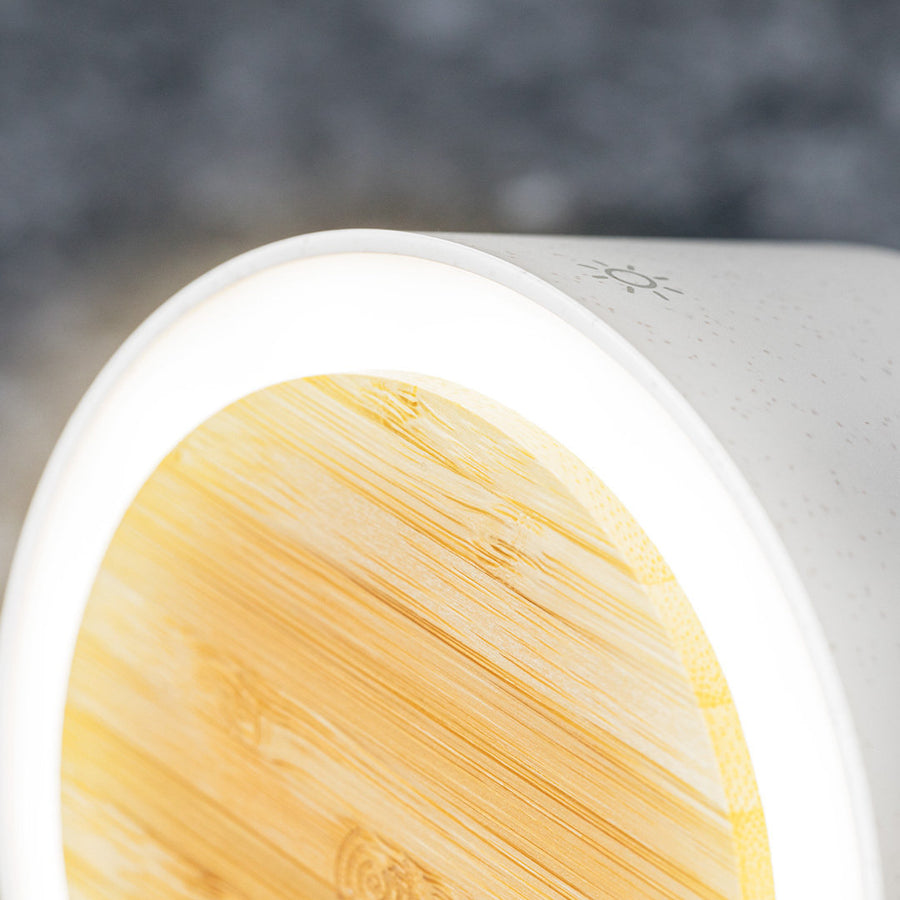 G1351 Lampada multifunzione Sadow