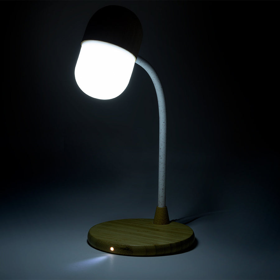 G1353 Lampada multifunzione Lars