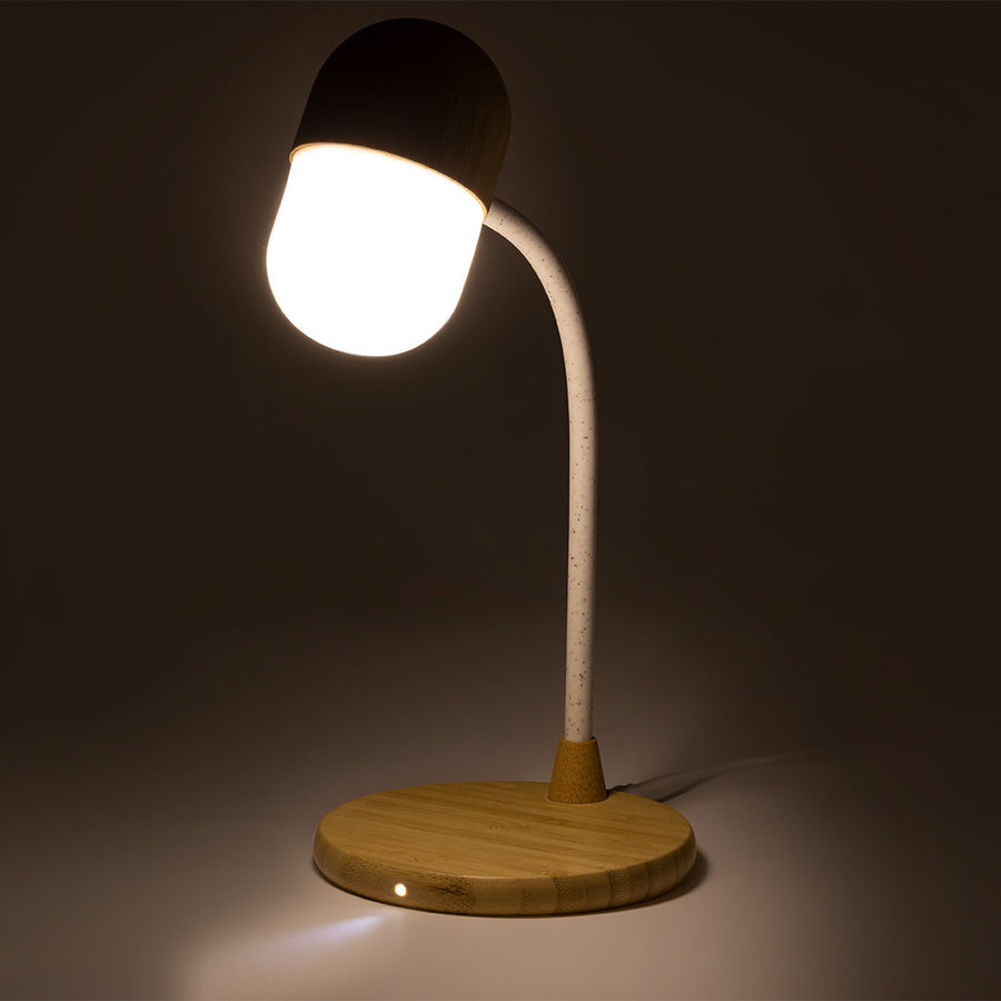 G1353 Lampada multifunzione Lars