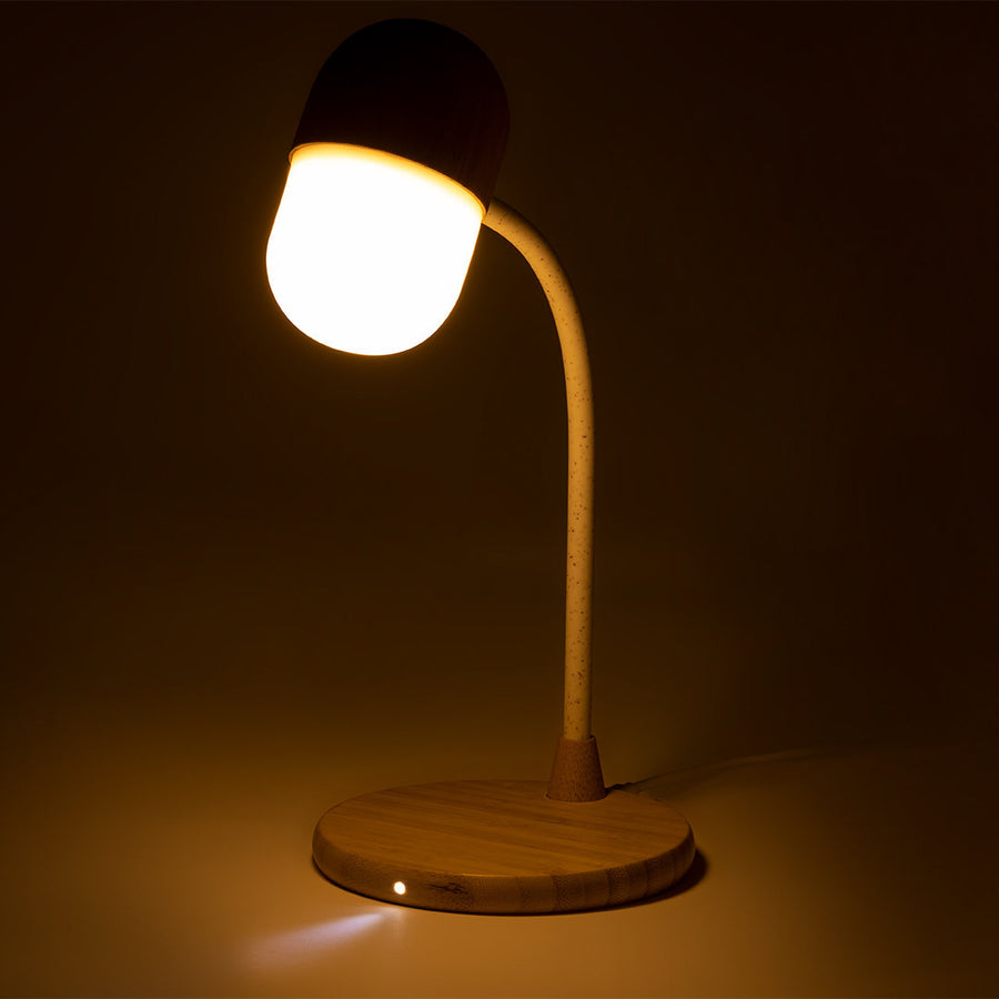 G1353 Lampada multifunzione Lars