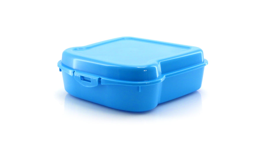 G2500 Scatola Pranzo Panini Noix