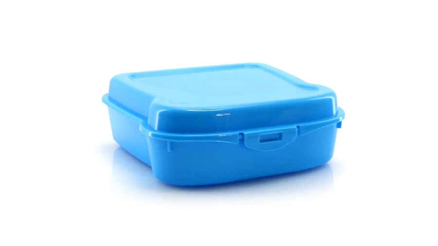 G2500 Scatola Pranzo Panini Noix