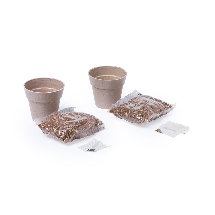 G5113 Set Vaso Nertel