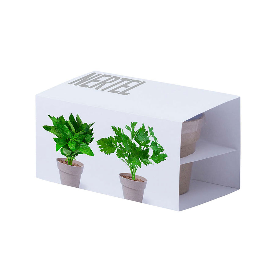 G5113 Set Vaso Nertel