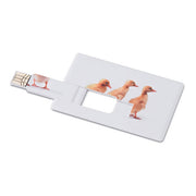GO1059a Creditcard. USB flash 4GB
