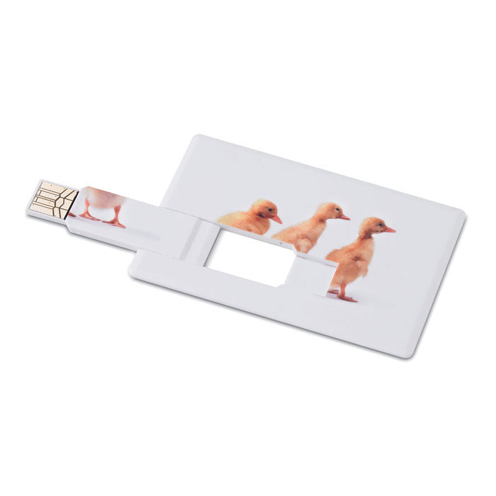 GO1059a Creditcard. USB flash 4GB