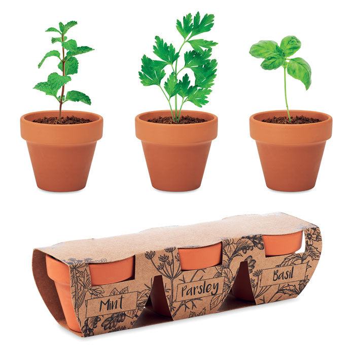 GO6145 Set di erbe in terracotta