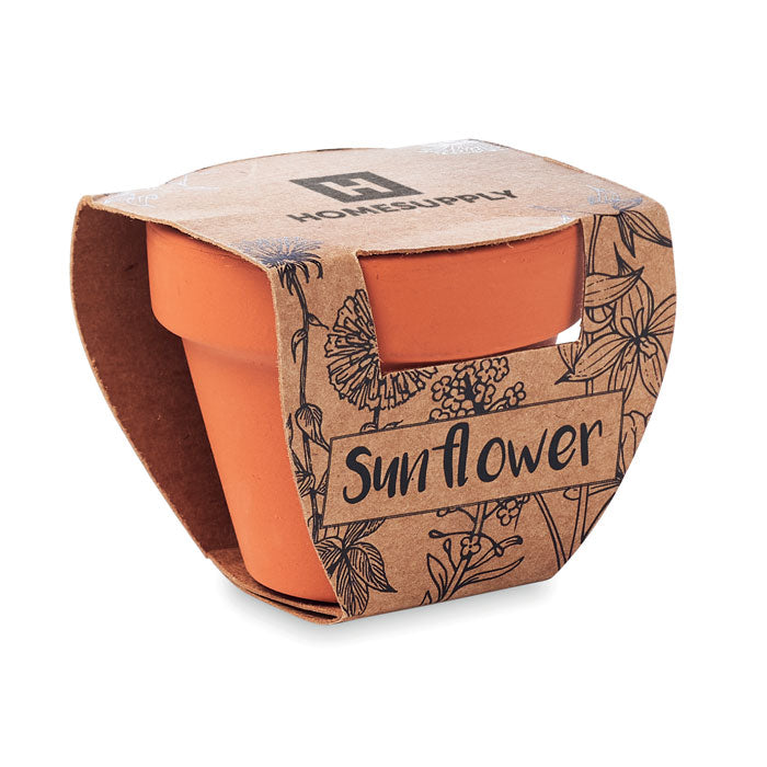 GO6147 Semi di girasole