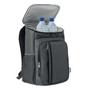 GO6167 Borsa frigo Picnic 600D
