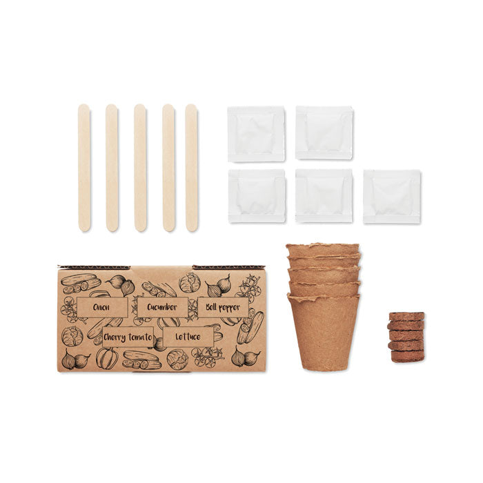 GO6499 Kit per coltivare insalata