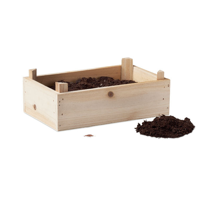 GO6506 Kit per coltivare fragole