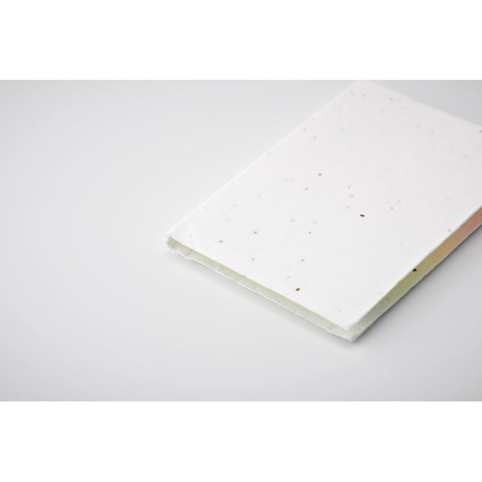 GO6510 Set memo in carta con semi