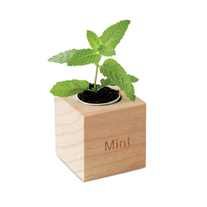 GO9337 Mini vaso in legno